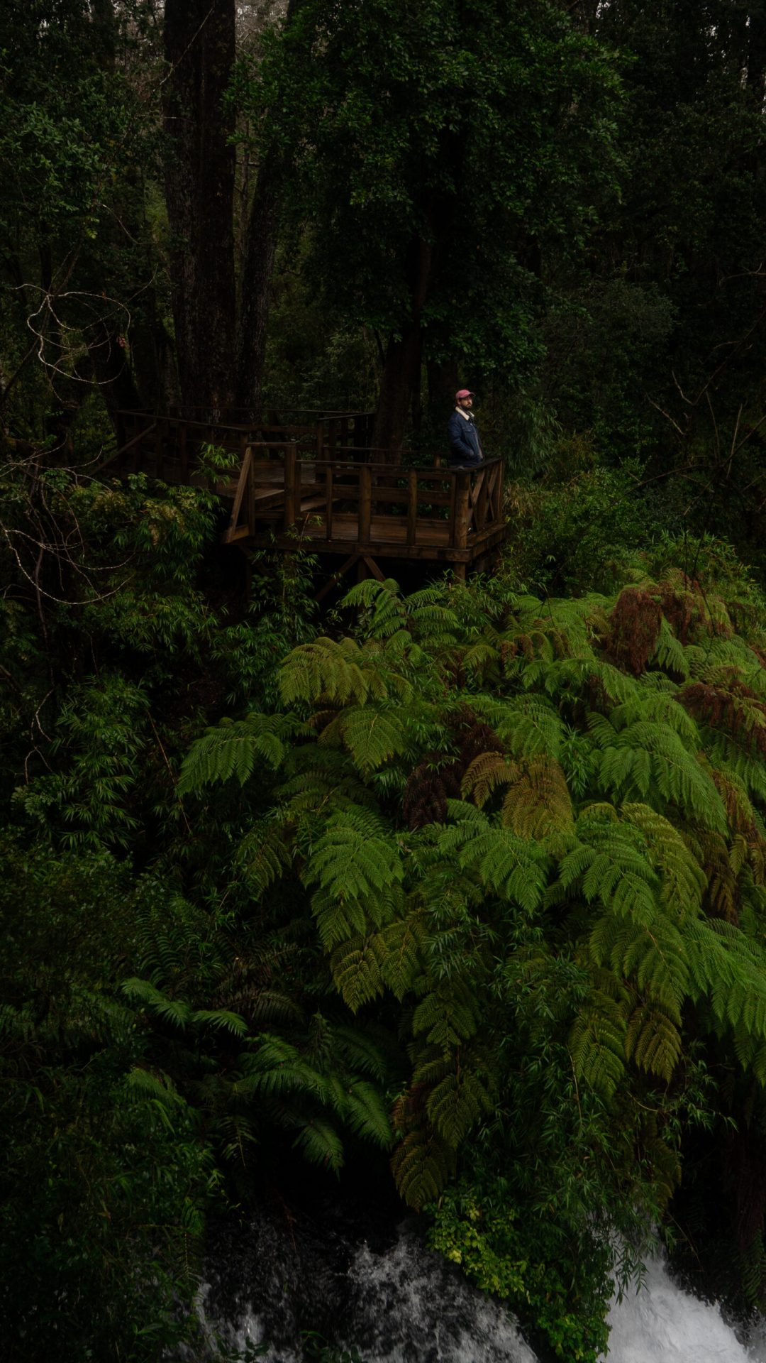 DSC02305-scaled.jpg